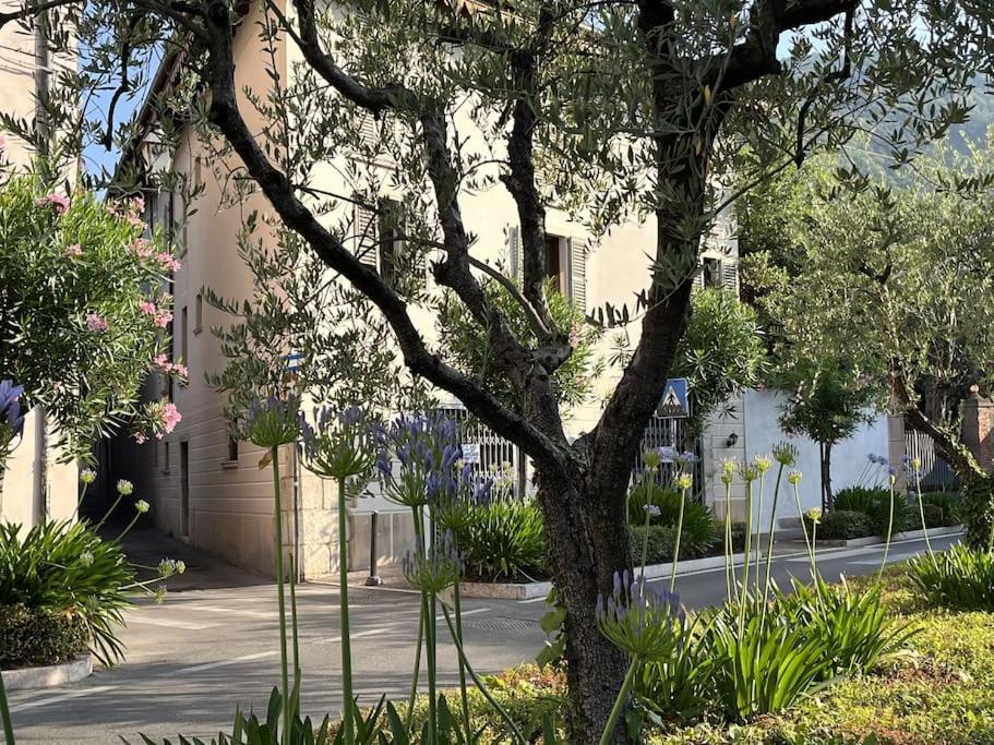 La Piccola Casa Al Lago - Intera Casa Con 3 Camere E 2 Box Salo Luaran gambar